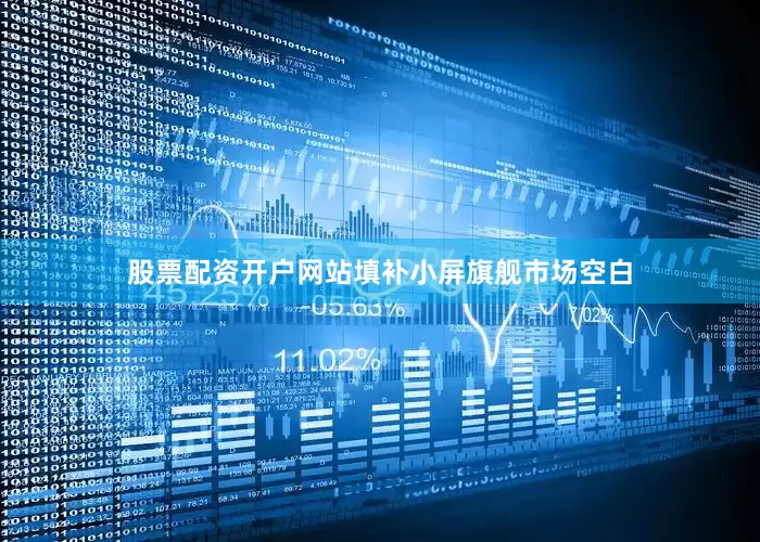 股票配资开户网站填补小屏旗舰市场空白